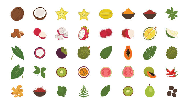 A diverse collection of exotic tropical fruits including dragonfruit and mangosteen is meticulously arranged in a clean grid layout on a white background.