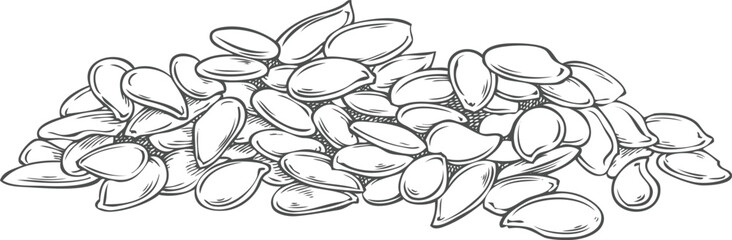 Fototapeta premium Flax seed pile vector sketch, superfood, engraved hand drawn Linen cereal crops seeds heap, condiment or seasoning grain