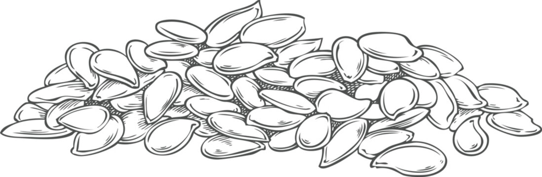 Flax seed pile vector sketch, superfood, engraved hand drawn Linen cereal crops seeds heap, condiment or seasoning grain