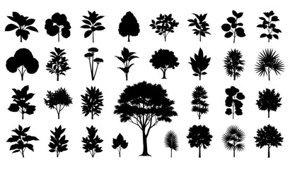 Plant and Tree Silhouette Collection Nature Vector Illustration © SABBIRAHMAD