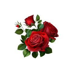 Fototapeta premium Elegant red rose bouquet featuring open flowers and small buds with green leaves on transparent background.