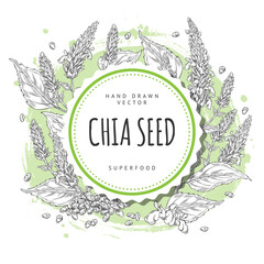 Fototapeta premium Chia plant with flowers and seeds sketch, vector engraved hand drawn round label design, Salvia hispanica, superfood