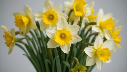 Fototapeta premium Bright yellow and white daffodil flowers in full bloom arranged in a vase soft natural light highlights delicate petals and spring freshness creating a cheerful botanical still life for home decor