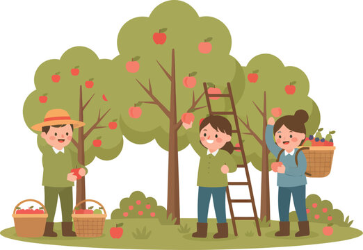 Apple Picking, Harvesting, Farm Workers, Vector Illustration, Agriculture, Orchard, People