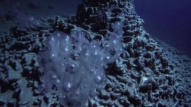 Abyssal Ocean Hosts Luminous Vents Releasing Shimmering Bubbles Around Towering Chimney Formations