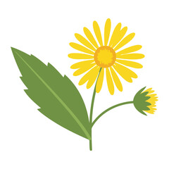 Fototapeta premium Yellow Flower with Green Leaves flower plant nature