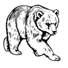 Obraz premium A black and white illustration of a bear walking on transparent background