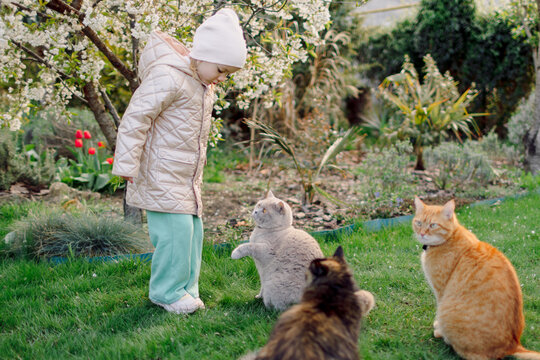 Child girl with domestic cats in backyard garden