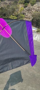 Black and Purple Indian Fighter Kite on Makar Sankranti