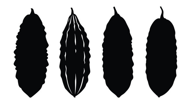 Four bitter melon shapes displayed as a striking black silhouette