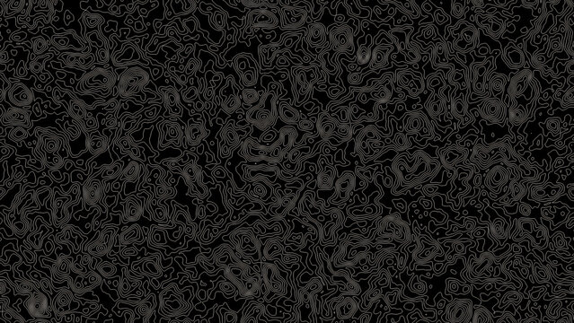 Intricate black and white abstract drawing with swirling interconnected lines