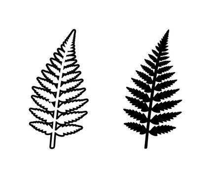 Black Fern Leaf Outline and Silhouette Vector Set