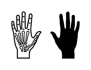 Fototapeta premium Human Hand Skeleton and Silhouette Vector Icons