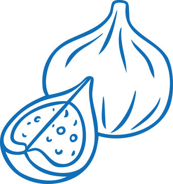 Fresh fig fruit with seeds blue line art vector icon, sweet ripe tropical exotic fruit, snack dessert Mediterranean menu
