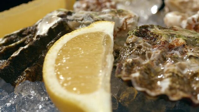 Fresh raw oysters with ice, french restaurant, mediterranean Healthy sea food, gourment luxury cuisine. Close up of seafood restaurant. 