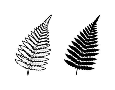 Black Fern Leaf Outline and Silhouette Vector Set