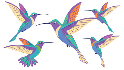Fototapeta premium Vector illustration of a group of colorful hummingbirds flying with hummingbird colorful tropical wildlife