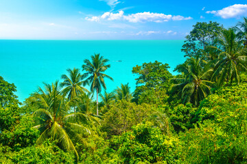 View across a tropical jungle to the turquoise sea © Lichtwolke99