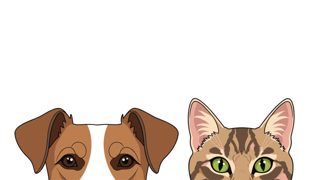 A charming illustration features the upper faces of a brown dog and a green-eyed tabby cat peeking curiously from the bottom of a white frame.