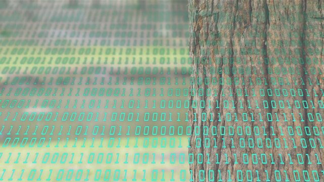 Playing, teal binary overlay pulsing across static tree trunk and blurred slats, creating tech mood