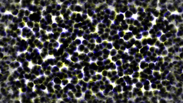 Abstract biological cell pattern with glowing blue and yellow outlines on black background loop