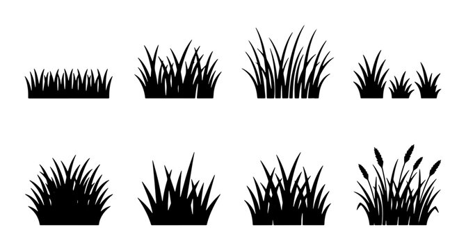 Black grass silhouette collection, 8 vector garden plant icons, wild meadow tufts and lawn borders, botanical reed and cattail elements for landscape design