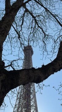 Tower viewed through winding twigs against vivid blue sky