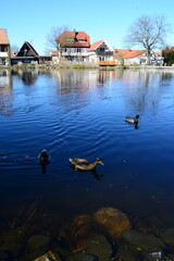 Widok © Daniel