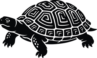 Fototapeta premium turtle vector illustration