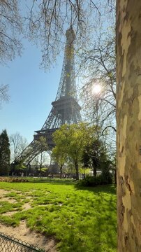 Calm springtime park scene bathed in warm morning sunlight