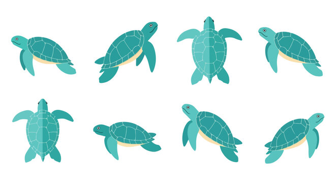 Collection of eight different angled cartoon sea turtles, showcasing unique perspectives and poses in a clean, modern illustration style