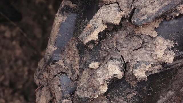 Close-up of muddy tire tread showing detailed texture and dirt accumulation in a natural outdoor environment during a rainy season