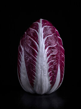 chicory isolated on black