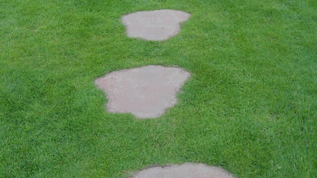 Green grass lawn with stepping stone path seen from above. Clean garden design and natural outdoor landscaping concept.