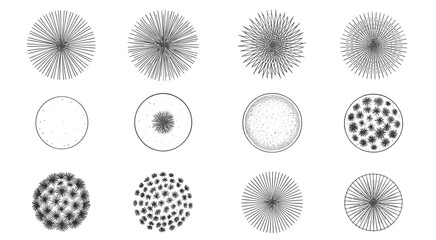 Twelve circular black and white representations of stylized trees viewed from above overhead view aerial view © MadhobiRani