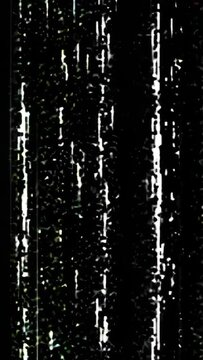 Glitching through the Woods  A Digital Odyssey in Natures Labyrinth