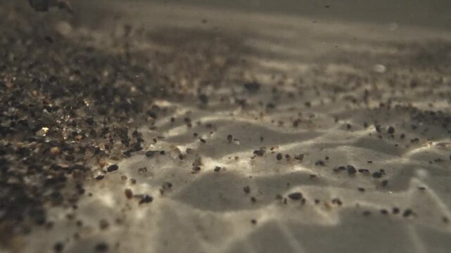 Sunbeams creating caustic light patterns on a sandy riverbed with small particles flowing in the water