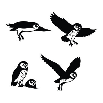 Little owl silhouette icon collection, flying burrowing owl vector illustration, minimalist spotted bird silhouettes isolated on white, hand drawn owl elements for branding and nature logos.