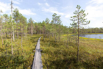 Obraz premium A park in lake region