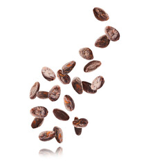 Naklejka premium Many cocoa beans falling against white background