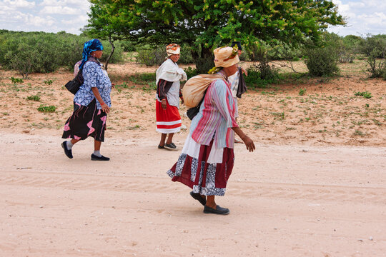 Few Basarwa women walk through a sandy landscape with green bushes in Botswana