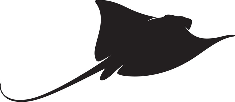 Isolated vector silhouette of stingray or manta ray. black art icon drawing vector