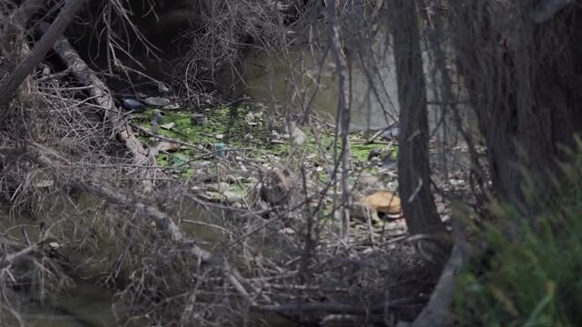 Trash and sewage plague the Tijuana River Valley, making air quality unbearable for residents along the US, Mexico border.