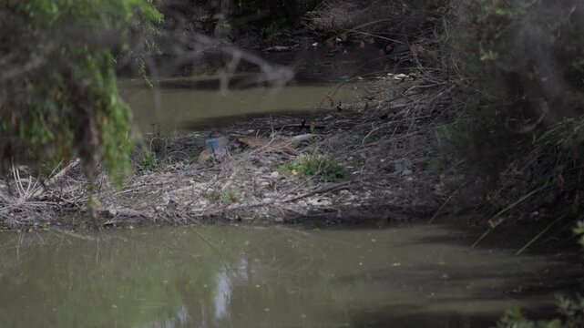 Trash and sewage plague the Tijuana River Valley, making air quality unbearable for residents along the US, Mexico border.