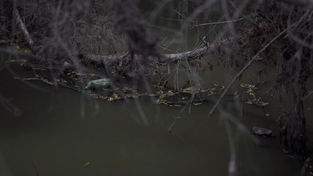 Trash and sewage plague the Tijuana River Valley, making air quality unbearable for residents along the US, Mexico border.