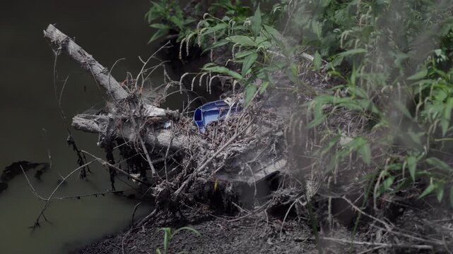 Trash and sewage plague the Tijuana River Valley, making air quality unbearable for residents along the US, Mexico border.