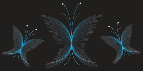 Abstract blue and white butterfly silhouettes made of fine curved lines on black background. Modern minimalist insect illustration, creative linear vector design for digital art. © sofyanmardianto