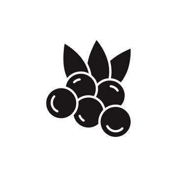 juniper icons minimalist flat style design, juniper Vector illustration on white background

