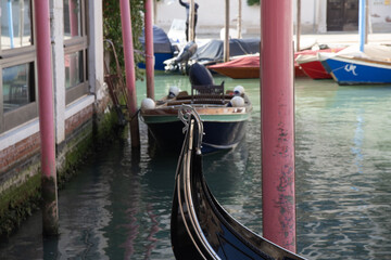 Venezia, le gondole e i canali © Claudio