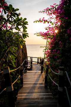 a walkway to a tropical beach at sunset on the island of Ko Tao in Thailand.